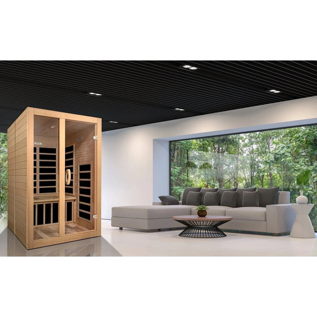 Dynamic "Santiago" 2-person Low EMF FAR Infrared Sauna DYN-6209-01 - door detail