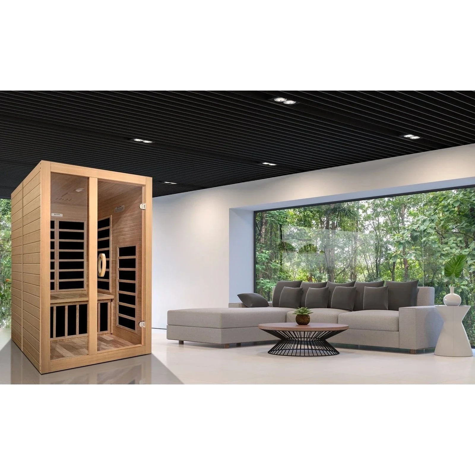 Dynamic "Santiago" 2-person Low EMF FAR Infrared Sauna DYN-6209-01 - door detail