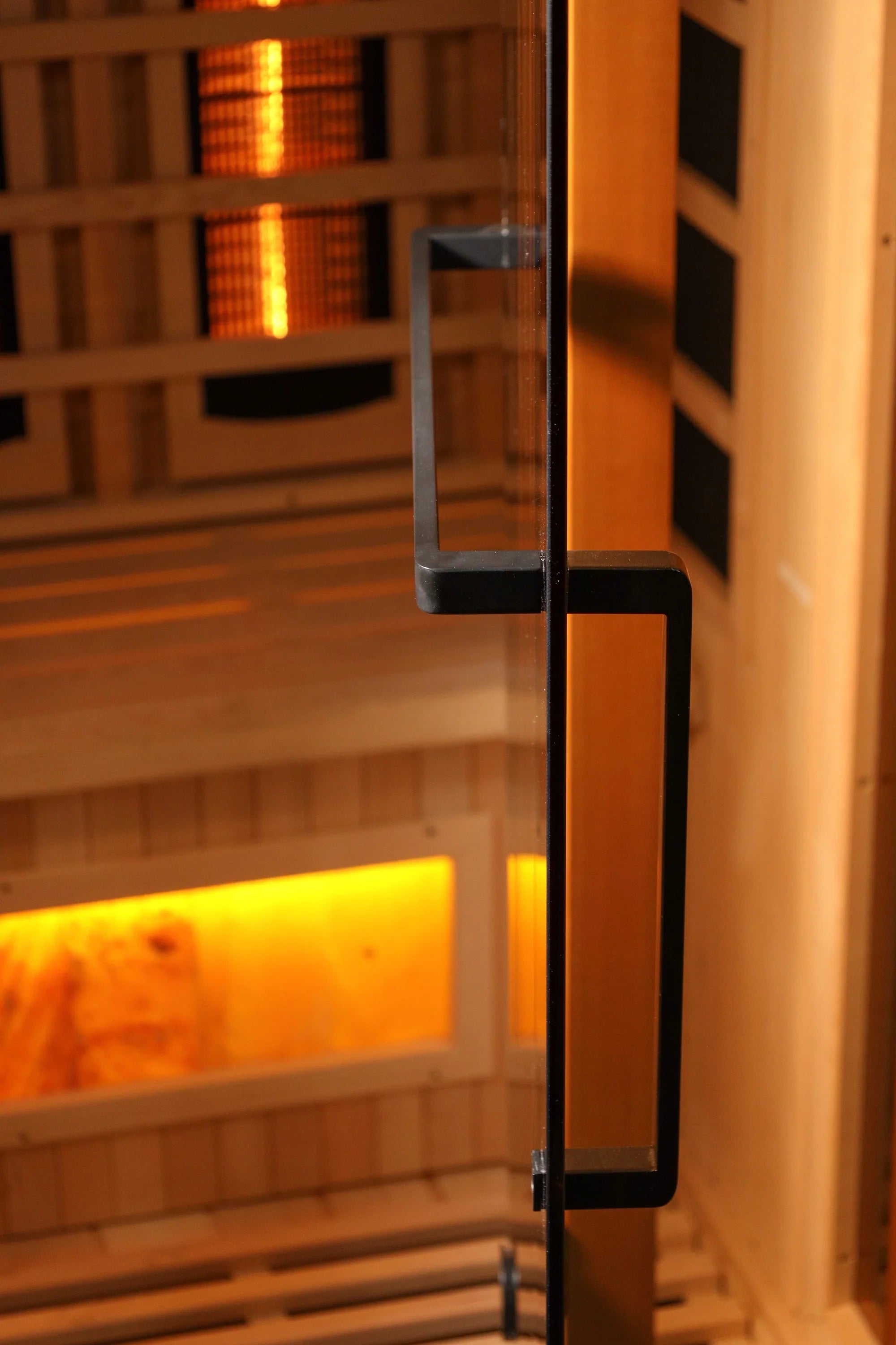 Golden Designs 1-2-Person 2025 Reserve Edition GDI-8010-03 Full Spectrum with Himalayan Salt Bar - door detail